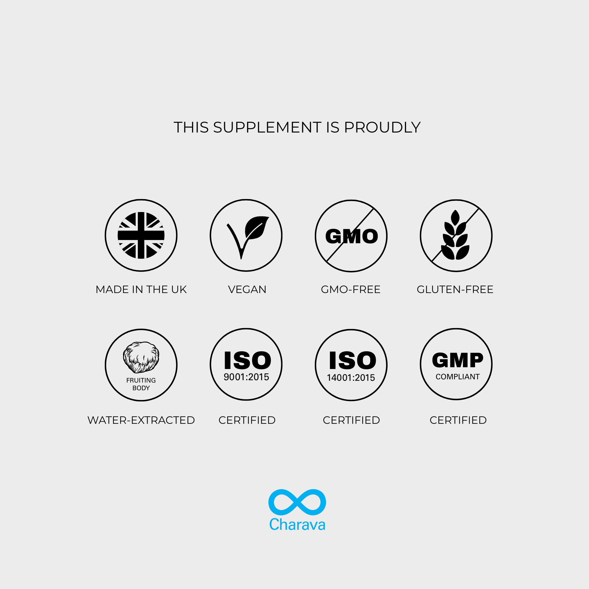 Lion's Mane Powder - 60 Grams - 30 Servings